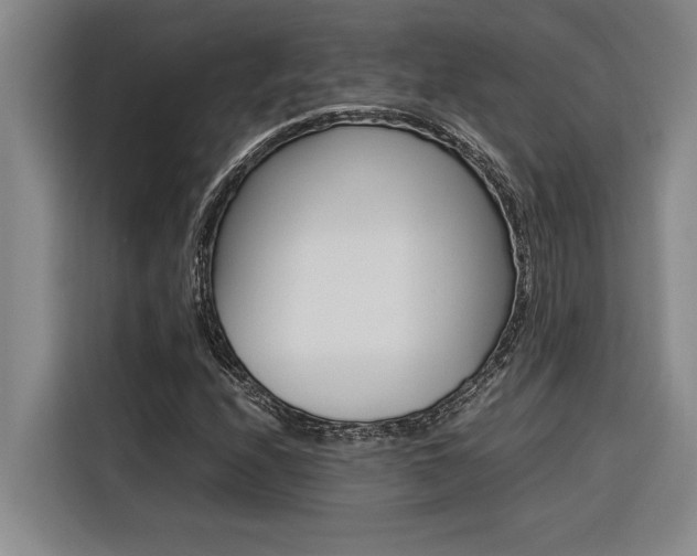 X0000116581208200912101302