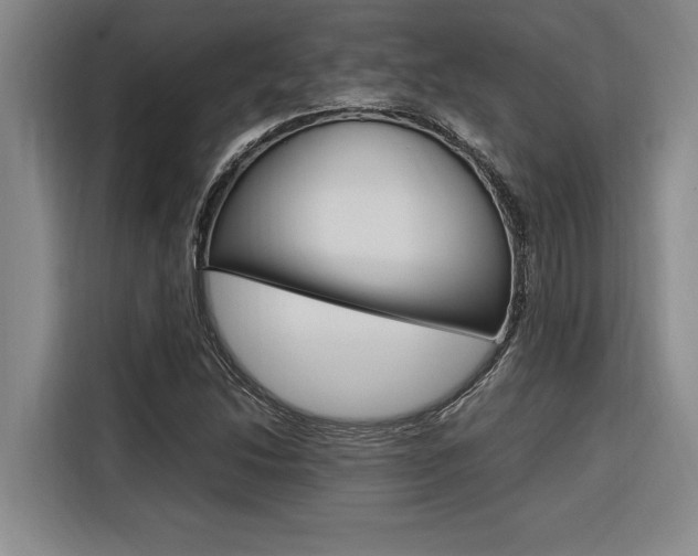 X0000116581214200912101302