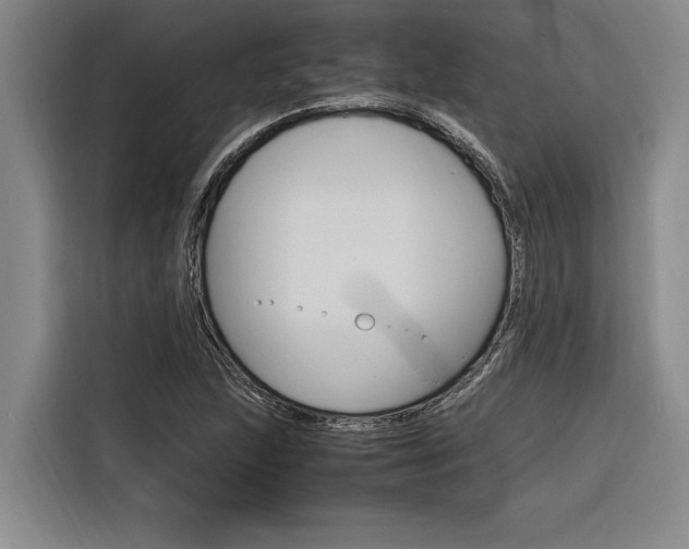 X0000116581215200912101302
