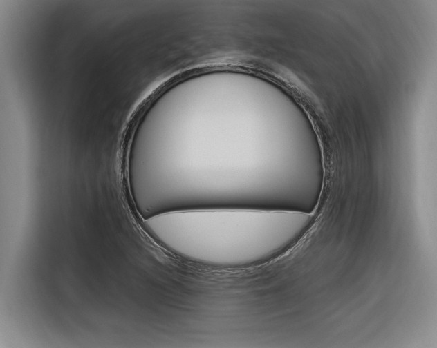 X0000116581216200912101302