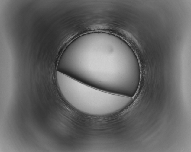 X0000116581217200912101302