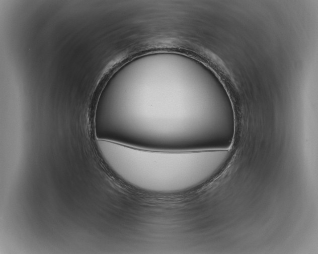 X0000116581218200912101302