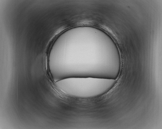 X0000116581219200912101302