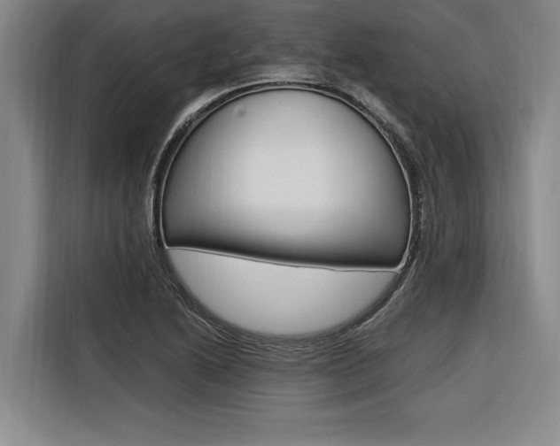 X0000116581222200912101302