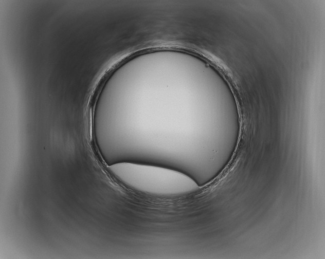 X0000116581223200912101302