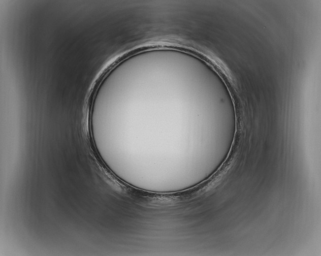 X0000116581224200912101302