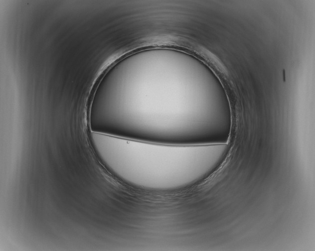 X0000116581226200912101302