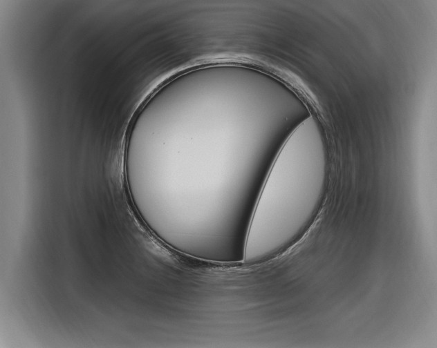 X0000116581228200912101302