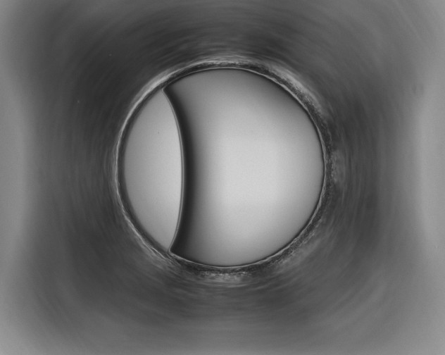 X0000116581229200912101302