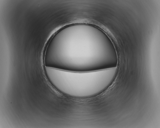 X0000116581230200912101302