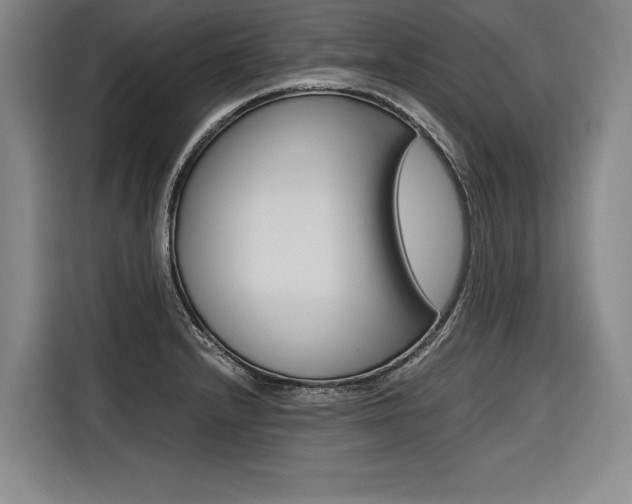 X0000116581232200912101302