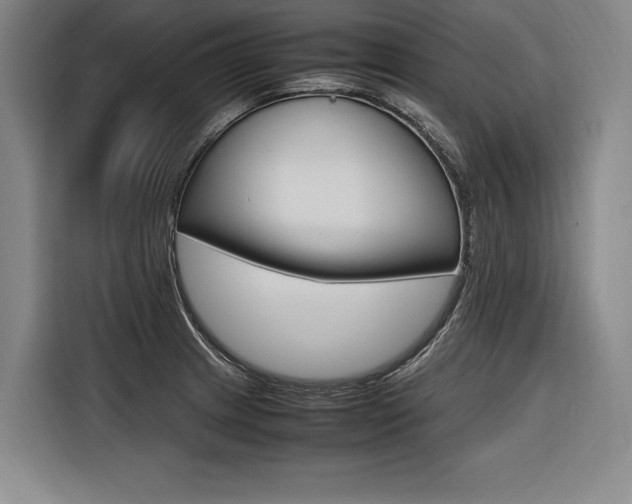 X0000116581233200912101302