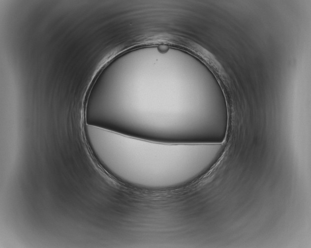 X0000116581234200912101302