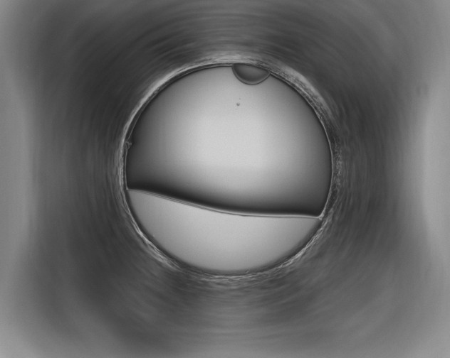 X0000116581236200912101302