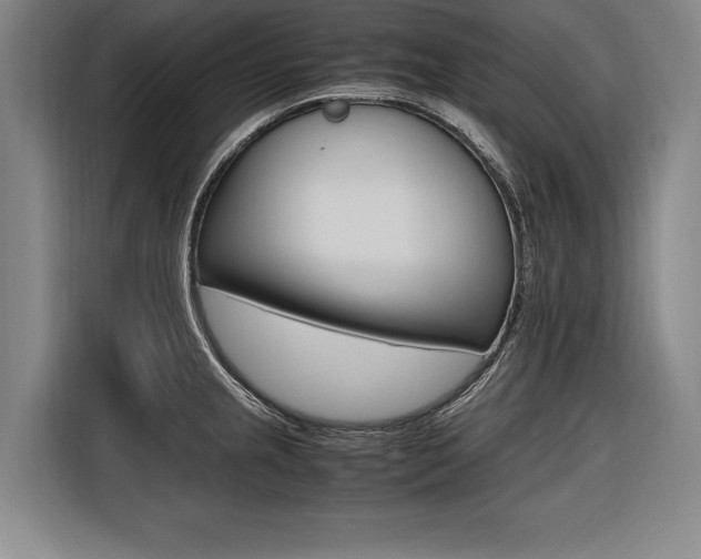 X0000116581237200912101302