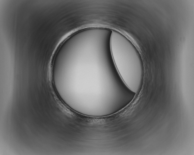 X0000116581238200912101302