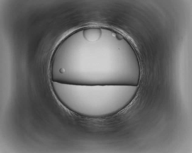 X0000116581239200912101302