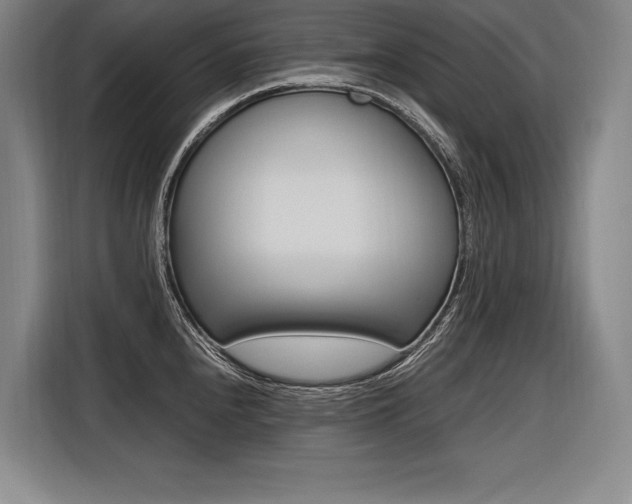 X0000116581240200912101302