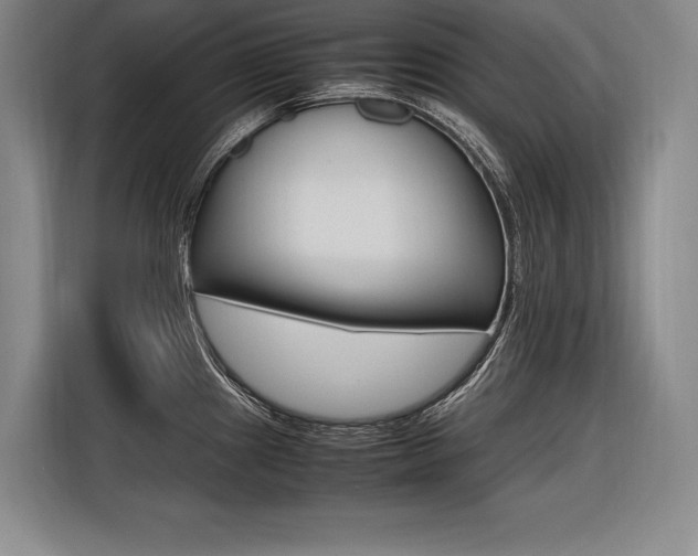 X0000116581241200912101302