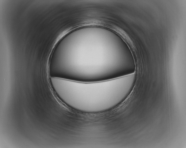X0000116581242200912101302