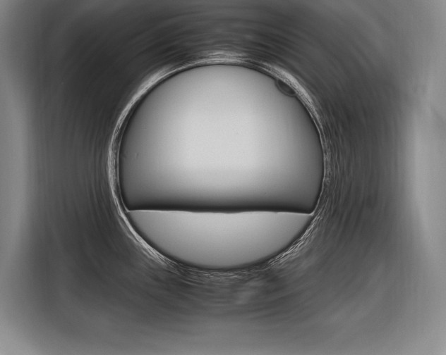 X0000116581243200912101302
