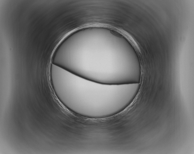 X0000116581244200912101302
