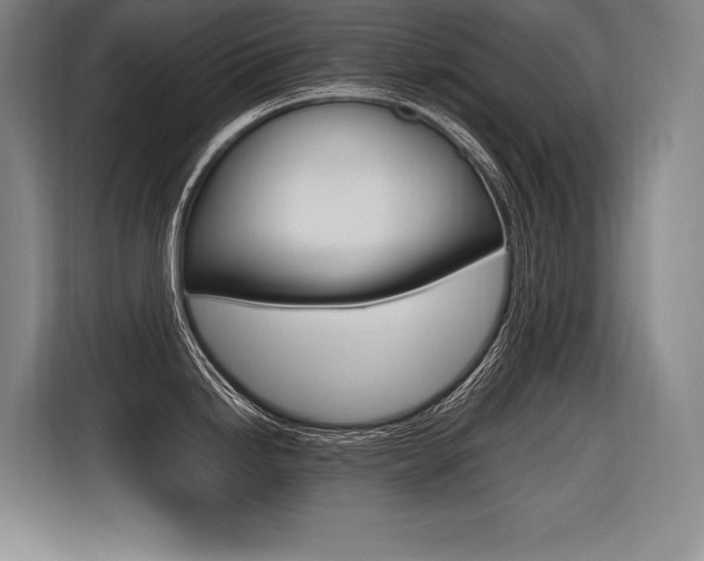 X0000116581246200912101302