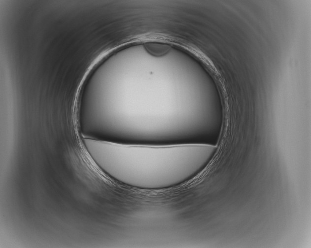 X0000116581248200912101302
