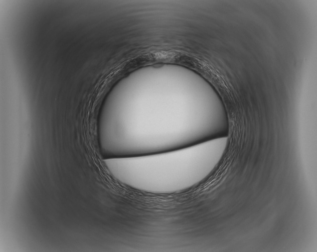 X0000116581249200912101302