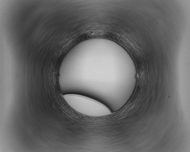 X0000116581250200912101302