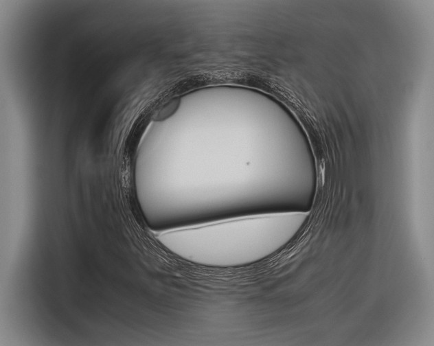 X0000116581251200912101302