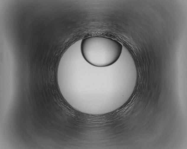 X0000116581252200912101302