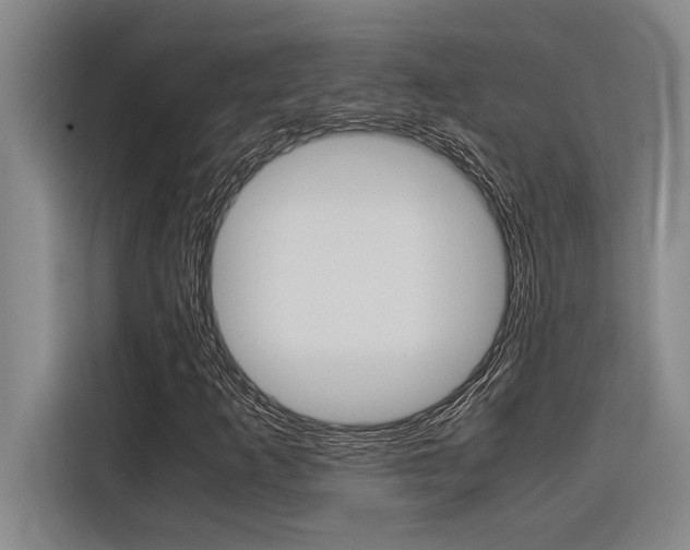 X0000116581253200912101302
