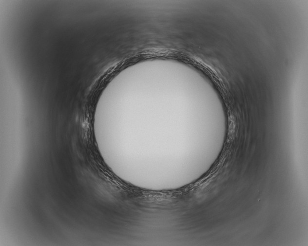 X0000116581254200912101302