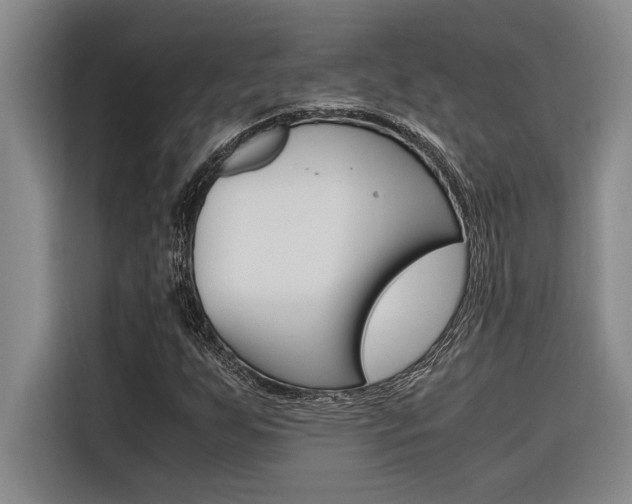 X0000116581255200912101302
