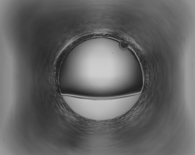 X0000116581256200912101302