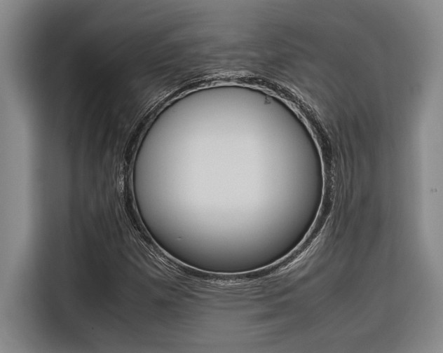 X0000116581257200912101302