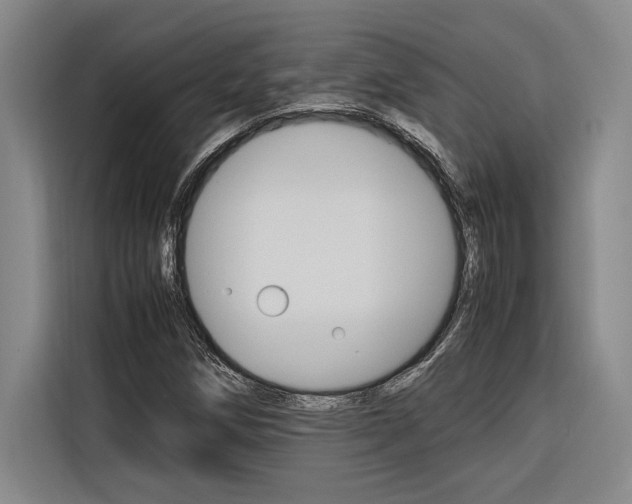 X0000116581258200912101302