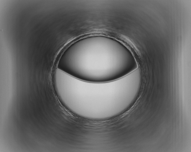 X0000116581260200912101302
