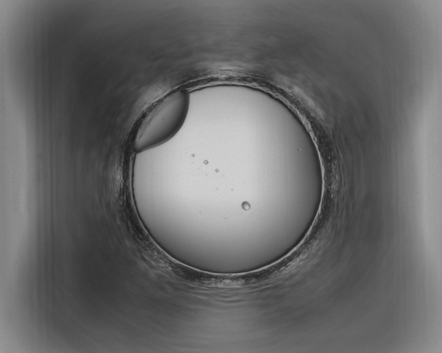 X0000116581261200912101302
