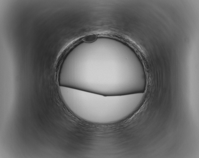 X0000116581262200912101302
