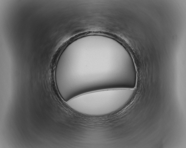 X0000116581263200912101302
