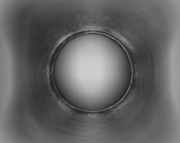 X0000116581264200912101302