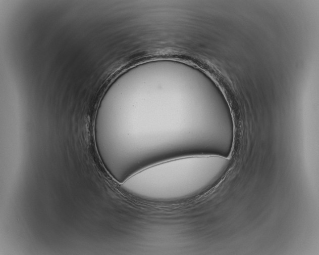 X0000116581265200912101302
