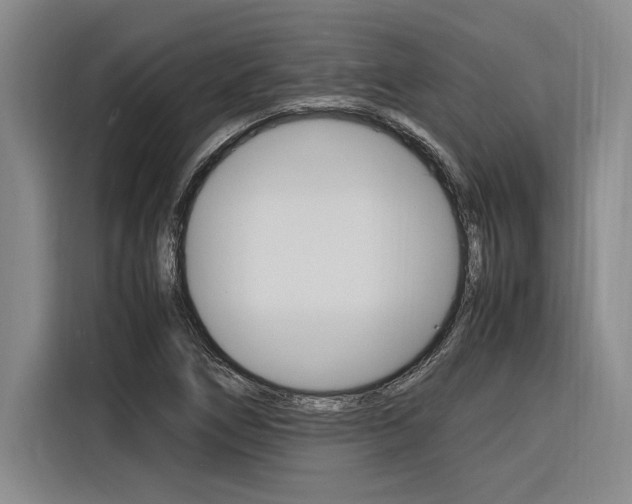 X0000116581266200912101302