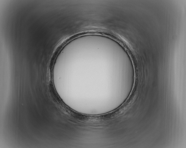 X0000116581267200912101302