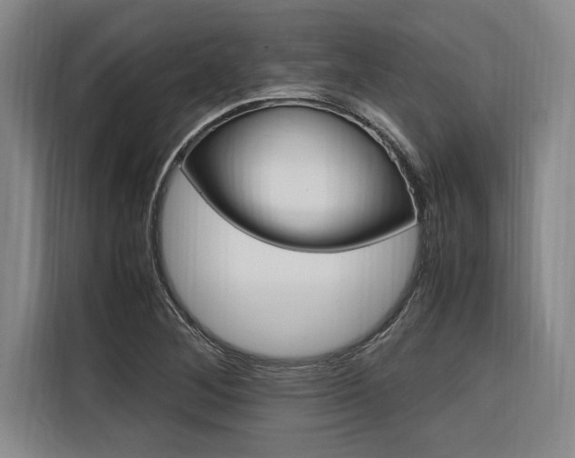 X0000116581268200912101301