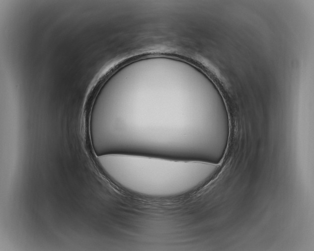 X0000116581270200912101301