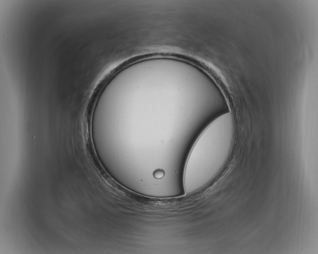 X0000116581271200912101301