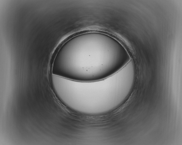 X0000116581272200912101301